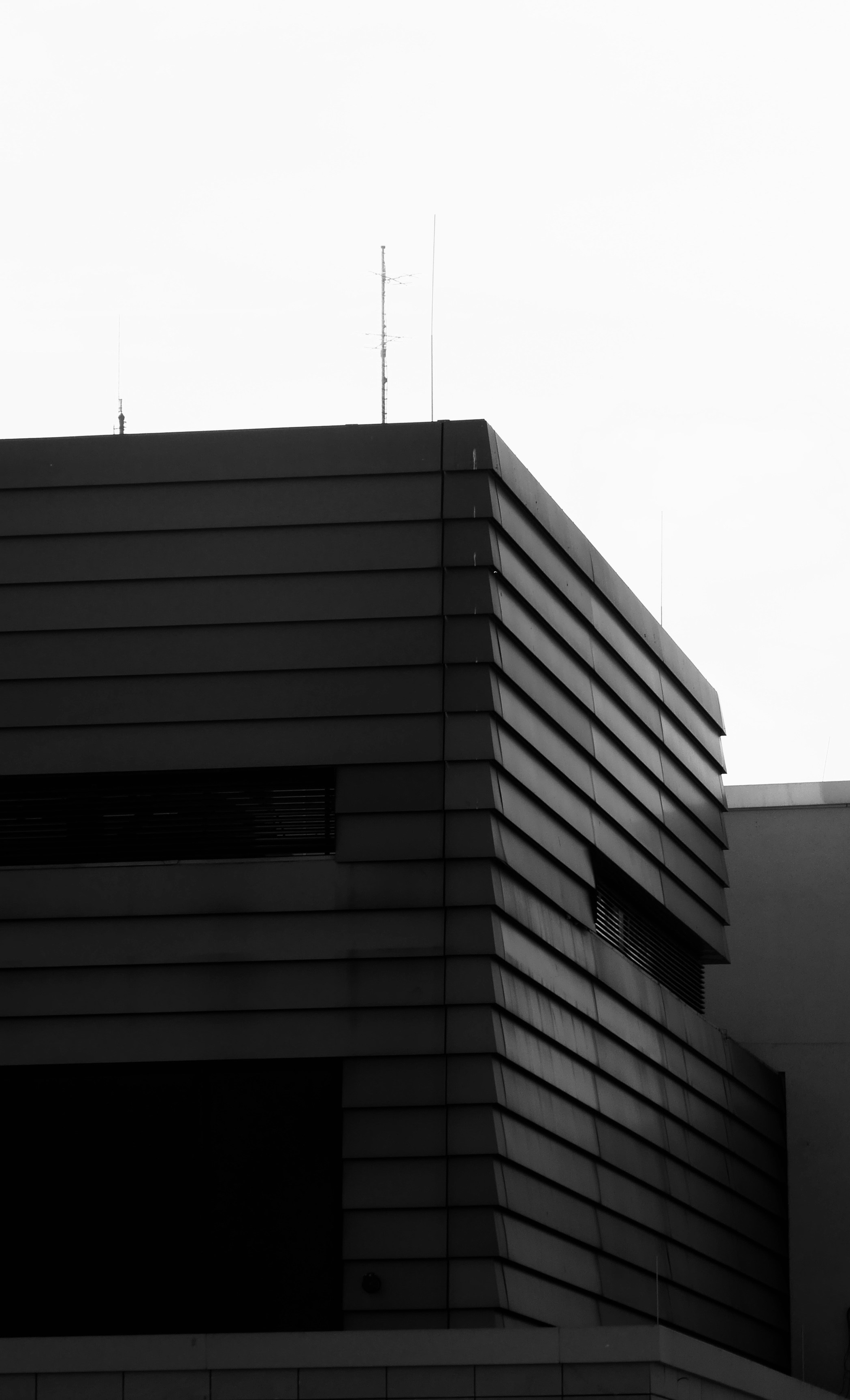 soar